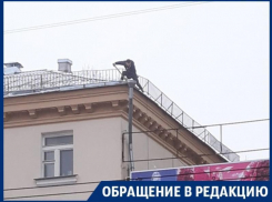 В центре Воронежа снег с крыши чистят на головы прохожих 