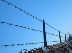 В Воронежской области вынесен приговор мужчине, убившему своего приятеля гвоздодером