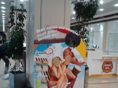 «Ваше место под солнцем!» - воронежцы получат среди зимы кусочек лета