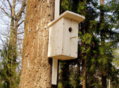 В Воронежской области школьники повесили в зоопитомнике скворечники и кормушки