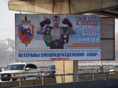 В Воронеже школьники встретятся с чемпионами мира по разным видам спорта 