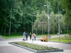 Власти Воронежа хотят изменить концепцию развития Центрального парка 