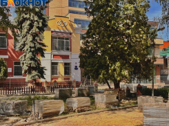 Стало известно, кому будет посвящен новый памятник на Карла Маркса в Воронеже 