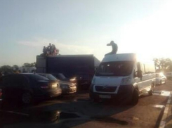 Почему воронежцев считают жлобами, наглядно показали на снимках 