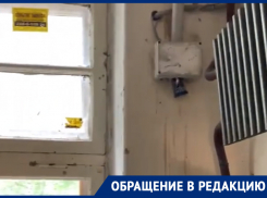 «Нашествие блох было предсказуемо»: в Воронеже показали подъезд дома, из которого эвакуировали детский сад