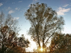 В Воронеже пройдет необычная выставка студенческих работ