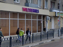 Новые правила Wildberries на фоне скандала насторожили воронежцев