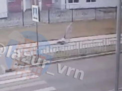 Тащила по асфальту и избивала: жестокое обращение с ребенком попало на видео в воронежском ЖК