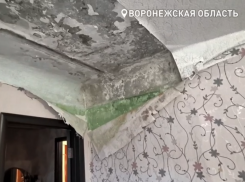 «Душ можно принимать в любой комнате»: ремонт прогнившей кровли перенесли на середину века в Воронежской области