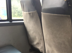 В вонючий свинарник превратили маршрутку 67а в Воронеже