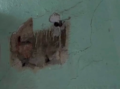 «Грязь на полу, плесень на стенах»: воронежцы столкнулись с ужасами Семилукской райбольницы