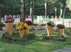 Часть фестиваля «Город-сад» переедет из Воронежа