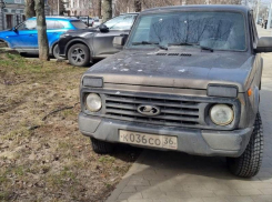 Мастера парковки на газонах возмутили воронежцев