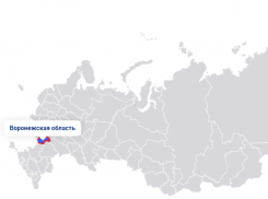 Положение Воронежской области в «ковидной гонке» регионов