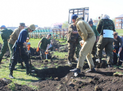 Останки трех летчиков обнаружили в Воронежской области