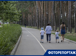 Как преобразился воронежский парк, отданный концессионеру 