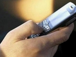 Хозяйка вьетнамских поросят из Воронежской области сказала, что на нее оказывается дикое давление