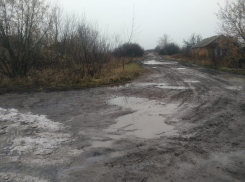 Воронежские дети вязнут в грязи по пути в школу