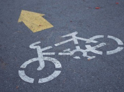 Велосипедные кольцевые дорожки в Воронеже начнут строить предстоящим летом