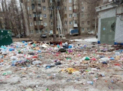 «Стая у школы и горы мусора»: двор в Воронеже превратился в опасную свалку