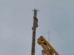 Ловкое покорение вершины столба на Масленицу записали на камеру в Воронежской области