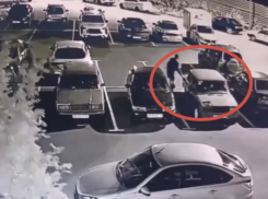 Ночные сосальщики попали на видео в воронежском микрорайоне 