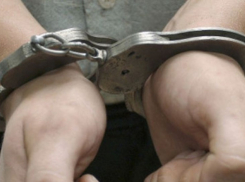 Под Воронежем злоумышленники угнали Ауди-3 с ее хозяином в багажнике