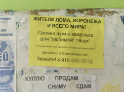  Отчаянную заботу о «любимой» теще наглядно показали в Воронеже