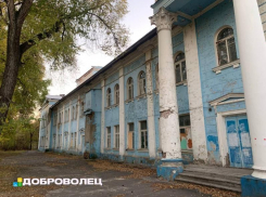 Постыдное состояние воронежского ДК показали на фото 