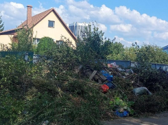 Ведущая солистка Воронежского театра оперы и балета рассказала о мусорном произволе в частном секторе 