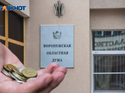 Депутаты идут на рекорд: они вновь увеличили расходы на содержание Воронежской облдумы 