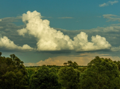 В Воронежской области громадные облака сравнили с пуделем и слоном