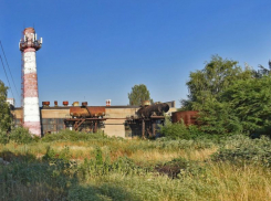 Земли Воронежской опытной станции отошли Евгению Хамину