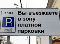 Воронежские пенсионеры боятся не осилить платные парковками в центре