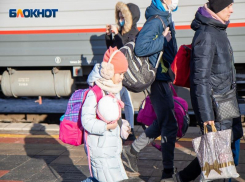 Телефоны «горячих линий» для беженцев с Донбасса появились в Воронежской области 