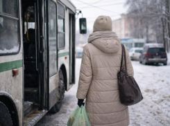 Почему поездка на автобусе поставила воронежанку на грань банкротства