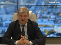 Губернатор Гусев обвинил своих коллег в распространении вони по Воронежу