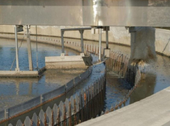 Когда перестанет вонять в Воронеже, рассказали в водоканале 