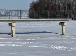 Воронежская прокуратура проверила разваливающиеся мосты на Петровской набережной