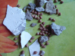 «Галерея Чижова» поздравила воронежского ветерана - маму Виктора Беккера - гречкой с камнями