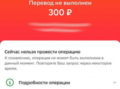 Воронежцы сообщили о массовых сбоях в приложении «Сбера»