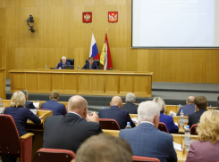 Прогульщикам указали на дверь, а свои доходы еще больше засекретили: чем озабочены депутаты Воронежской облдумы