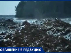 «Нас завалили дерьмом мраморных быков», – жительница воронежского села