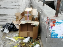 Обратную сторону 8 марта наглядно показали в Воронеже 