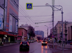 В Воронеже воскресили уничтоженную «зебру»
