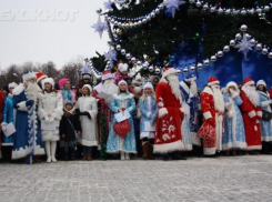 Стало известно, когда в Воронеже пройдет парад Дедов Морозов и Снегурочек