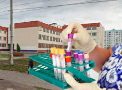 Прокуратура нашла нарушения в декабрьских медосмотрах воронежских школьников