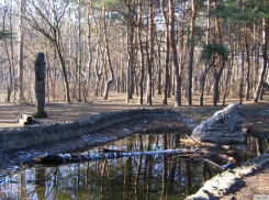 Воронежский Арбитражный суд расторг договор с арендатором парка «Танаис»