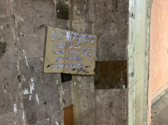 Попытки торговцев не умереть с голода в переходе у цирка показали в Воронеже