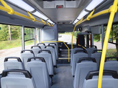 Новые автобусы запустят на популярный воронежский маршрут 54